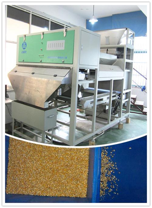 安晶龙新款玉米分色机 智能色选技术引领玉米加工品质革命